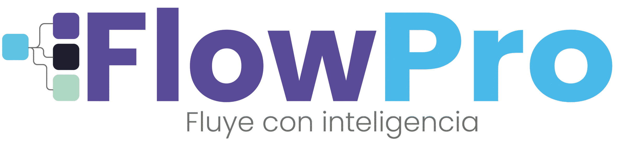 logo_flowpro